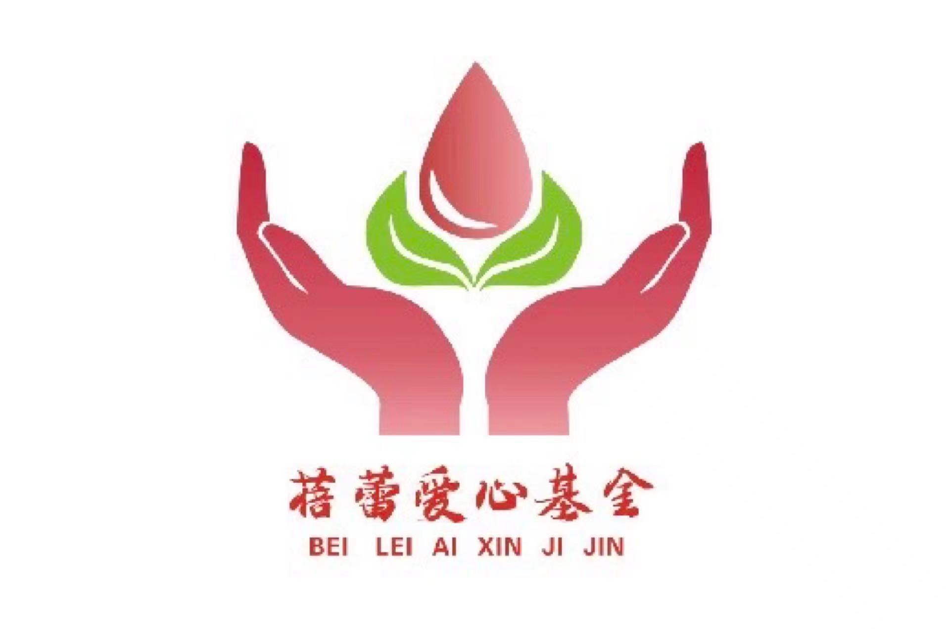 蓓蕾爱心基金